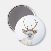 Foto de Natureza de Rebelde Cuta