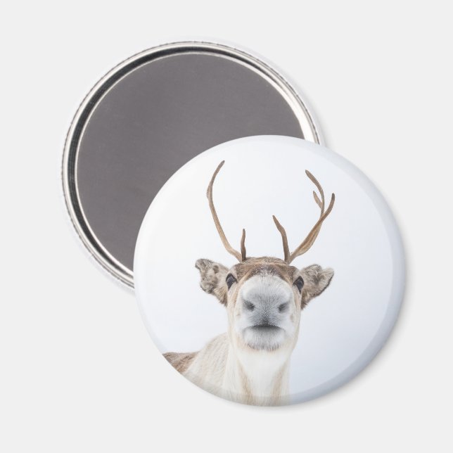 Íman Foto de Natureza de Rebelde Cuta (Front/Back)