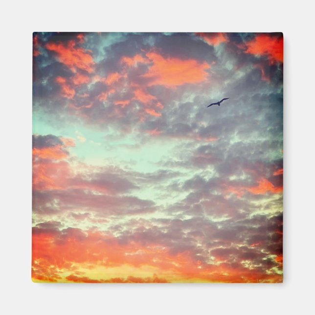 Íman Foto de Pássaro Voando nas Nuvens (Frente)