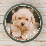 Íman Foto de Pet da Família de Pinças Cegas Modernas<br><div class="desc">Este design simples e clássico é composto por tipografia sans serif e adiciona uma foto personalizada do seu animal de estimação.</div>