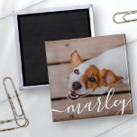 Íman Foto de Pet de Chic Elegante Simples e Moderna<br><div class="desc">Este design simples e clássico é composto por tipografia serif e adiciona uma foto personalizada do seu animal de estimação.</div>