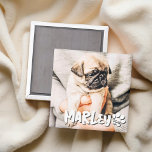 Íman Foto de Pet Personalizada de Grunge Simples Reprod<br><div class="desc">Este design simples e clássico é composto por tipografia serif e adiciona uma foto personalizada do seu animal de estimação.</div>