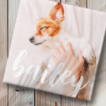 Íman Foto de Pet Simples Elegante Reprodutiva Moderna<br><div class="desc">Este design simples e clássico é composto por tipografia serif e adiciona uma foto personalizada do seu animal de estimação.</div>