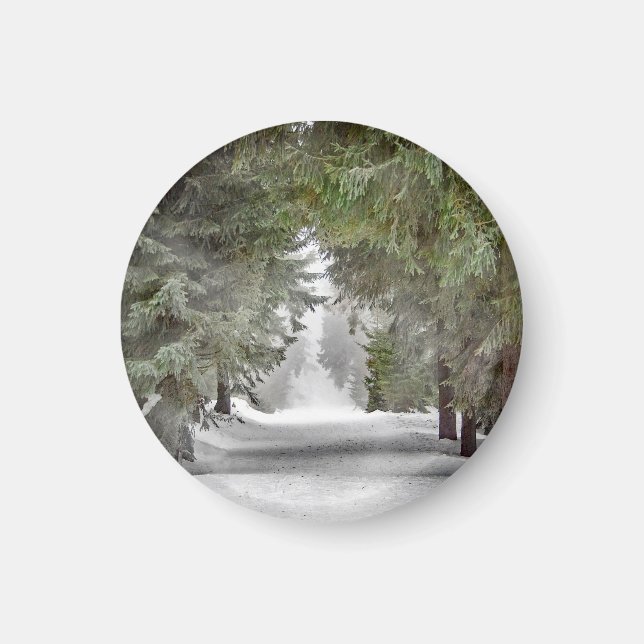 Íman Foto de Pinus na Estrada Florestal (Frente)