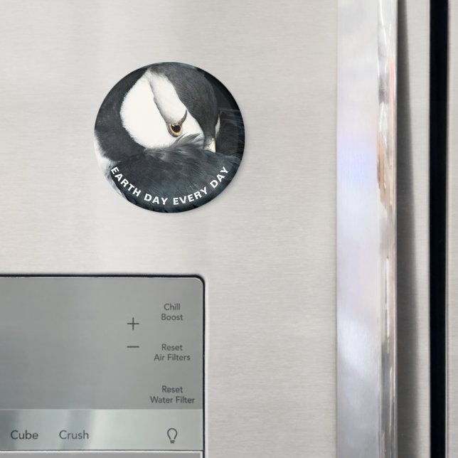 Íman Foto de Puffin Chorado no Dia da Terra (In Situ (Fridge))