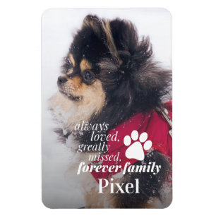 Íman Foto de Simpatia Memorial por Perda de Pet