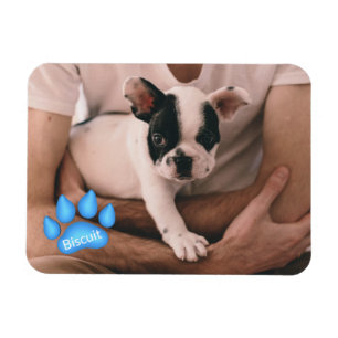 Íman Foto de sua Pet com nome na Impressão de Paw