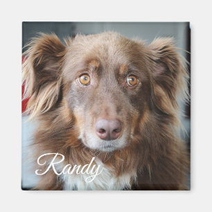 Íman Foto do cão e ímã personalizados do nome