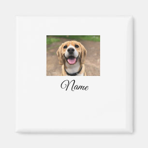 Íman Foto do gato-do-cão adicionar nome de animal cu pe