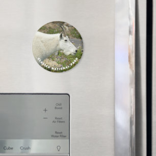 Íman Foto do Glacier National Park Mountain Goat