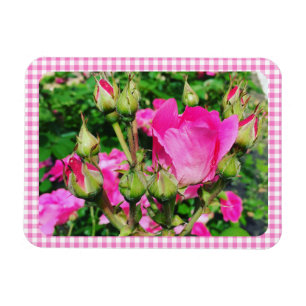 Íman Foto do Jardim de Rosas com Xadrez Gingham Rosa
