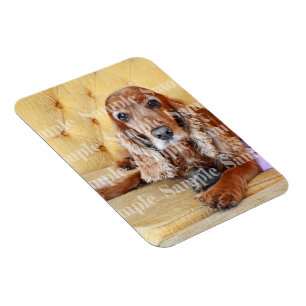 Íman Foto do memorial Pet PERSONALIZE