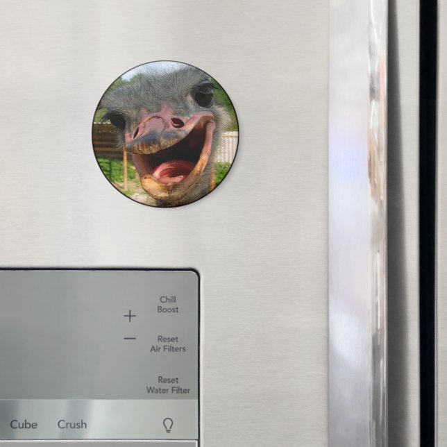 Íman Foto do Pássaro de Ostrich Engraçado O que se Pass (In Situ (Fridge))