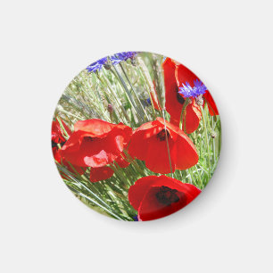 Íman Foto do Red Poppy, Cottage Garden