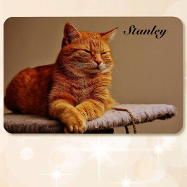 Íman Foto do seu Modelo Pet Add Name 4 x 6