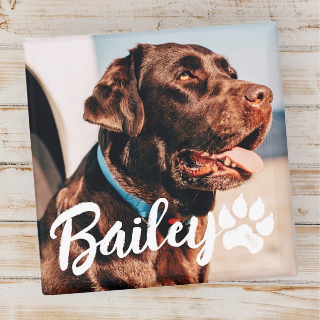 Íman Foto e nome da tipografia Legal simples e moderna  (Criador carregado)