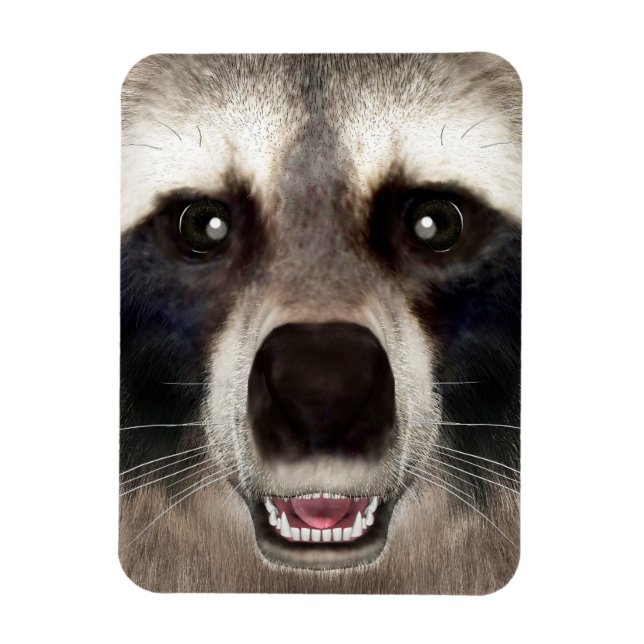 Íman Foto Engraçada De Animais Cute Raccoon Head (Vertical)