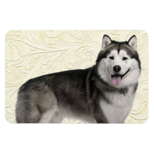 Íman Foto fácil de Modelo do Magnet Pet do Frigorífic