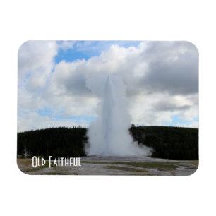 Íman Foto fiel velha em Yellowstone