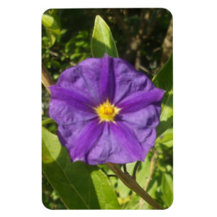 Íman Foto flexível - Magnet, roxo eco