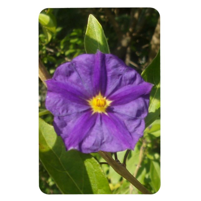 Íman Foto flexível - Magnet, roxo eco (Vertical)
