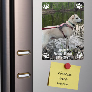 Íman Foto Moderna de Pet Memorial Perdida para sempre