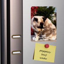 Foto Moderna de Pet Memorial Perdida para sempre