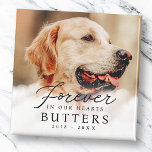 Íman Foto moderna do Pet Memorial para sempre<br><div class="desc">Tudo contra um simples pano de fundo de nuvens brancas sob um céu limpo. Esses elementos são simples,  eternos e clássicos. Adicione uma foto personalizada do seu animal de estimação. Este é projetado pela White Oak Memorials,  exclusivo para Zazzle. Disponível aqui: http://www.zazzle.com/store/whiteoakmemorials</div>