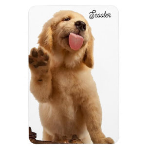 Íman Foto para cópia Adicionar Nome 4 x 6 Magnet do Ref