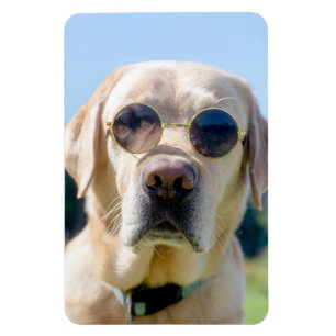 Íman Foto personalizada