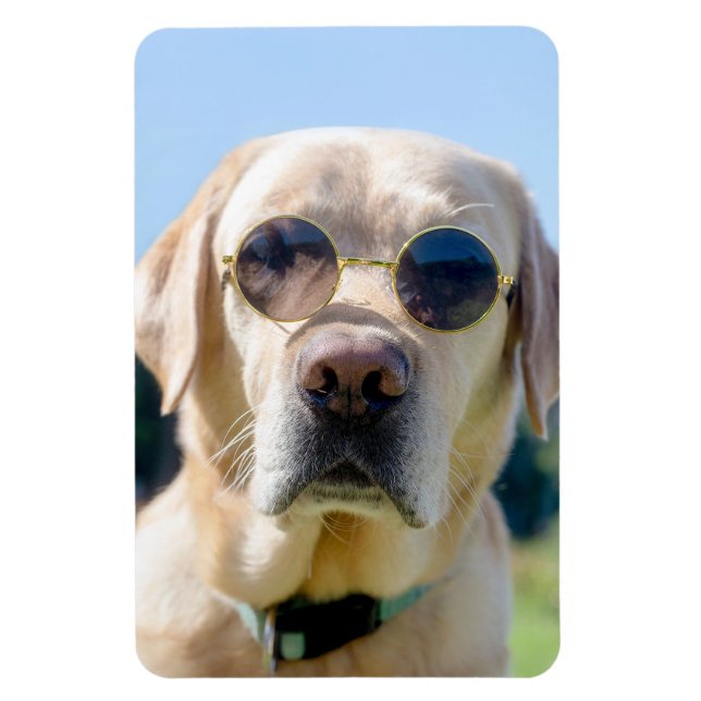 Íman Foto personalizada (Vertical)