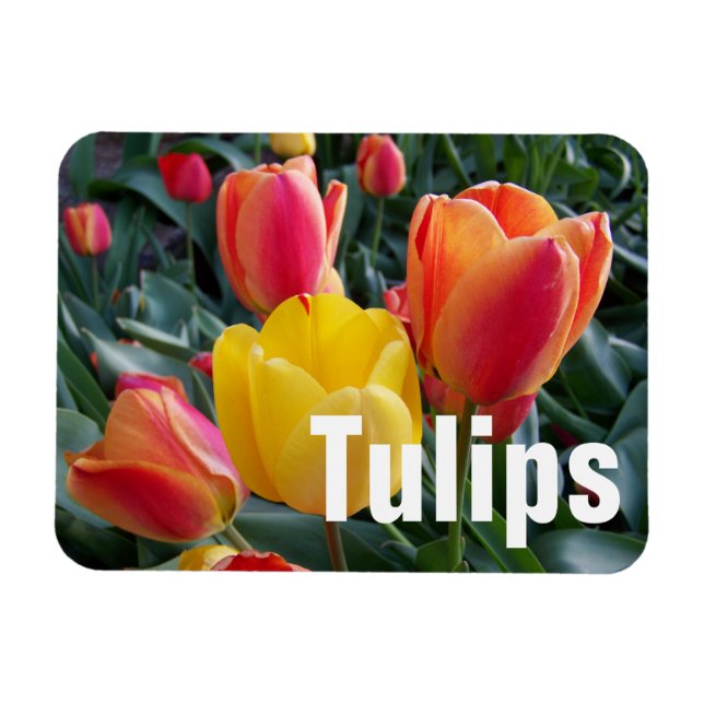 Íman Foto personalizada (Horizontal)