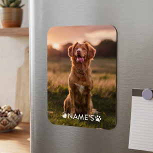 Íman Foto Personalizada Com O Nome Do Seu Cachorro