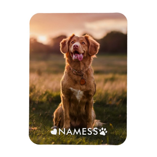 Íman Foto Personalizada Com O Nome Do Seu Cachorro (Vertical)