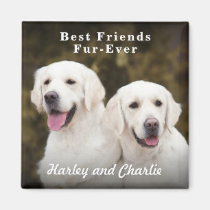 Íman Foto Personalizada de Dois Animais de Estimação Me