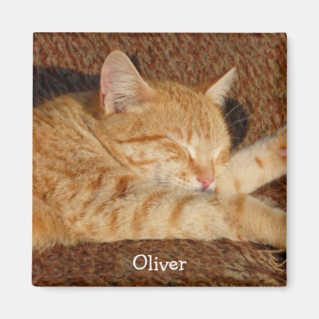 Íman Foto personalizada de estimação (Frente)