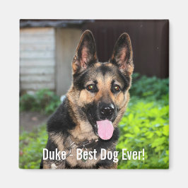 Íman Foto personalizada do cão German shepherd, Nome do