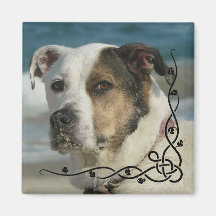 Foto personalizada do Instagram Crie seu próprio í