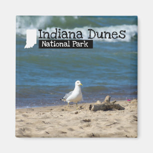 Íman Foto Personalizada - Indiana Dunes National Park