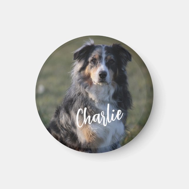 Íman Foto personalizada personalizada de cão de estimaç (Frente)