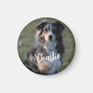 Íman Foto personalizada personalizada de cão de estimaç