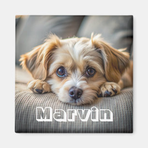 Íman Foto personalizada simples e russa moderna