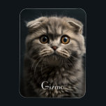 Íman Foto Pet Do Gato De Refrigerador Moderno Bonito<br><div class="desc">Magneta de Fotografia Pet do Gato Moderno de Refrigerador Gato</div>