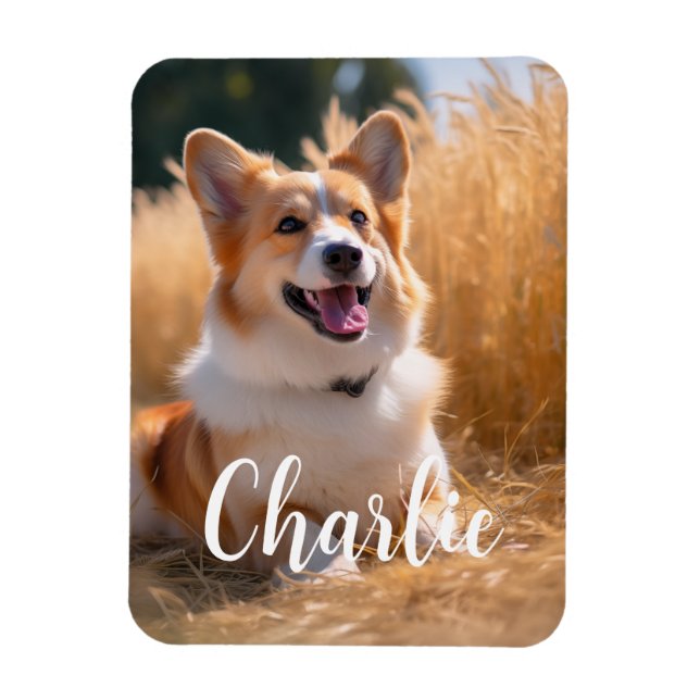 Íman Foto Pet Personalizada com Nome (Vertical)