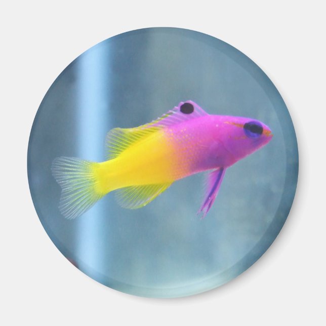 Íman Foto Real Gramma (Frente)