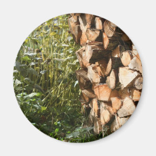 Íman Fotografia com Firewood