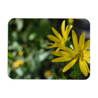 Fotografia da Flor Amarelo da Flor