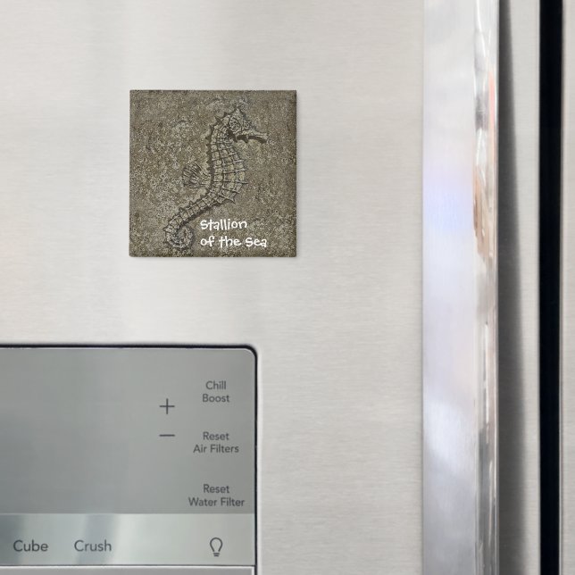 Íman Fotografia de Cavalo-do-Mar Molhado (In Situ (Fridge))