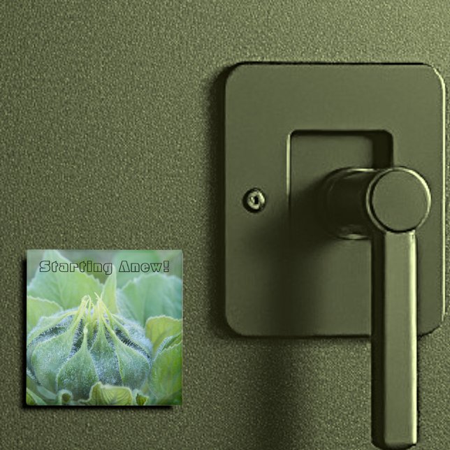 Íman Fotografia de Fecho de Girassol Humedecido (2" square magnet)