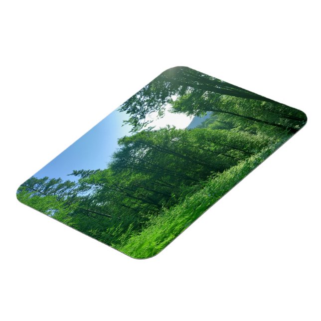 Íman Fotografia de Paisagem Verde (Left Side)